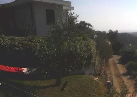 In - With A Sea View